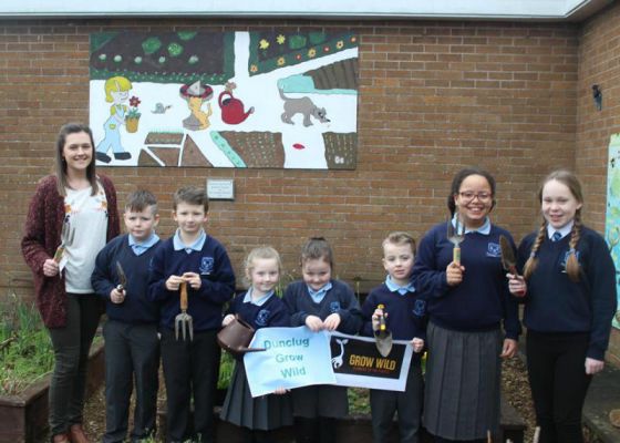Dunclug Grow Wild!