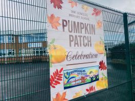 Pumpkin Patch Celebration 2024