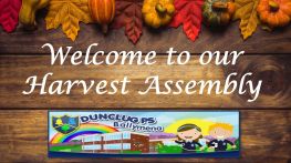 Harvest Assembly 2024