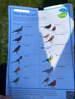 RSPB Big School Birdwatch 2025